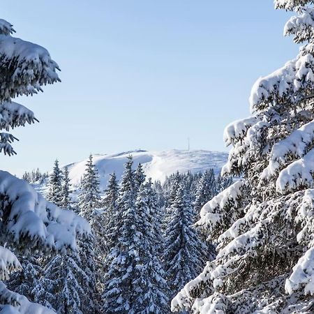 Waldblick Titisee Exterior photo